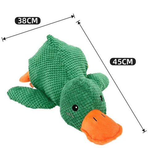 Calming Duck